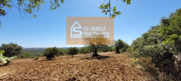 4800m² Land in Sao Bras de Alportel, Portugal No. 215332 4