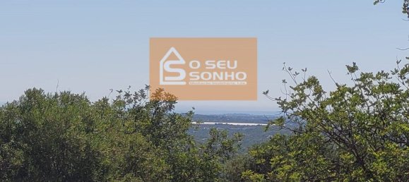 4800m² Land in Sao Bras de Alportel, Portugal No. 215332 10