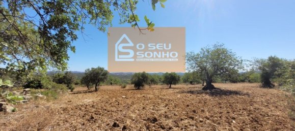 4800m² Land in Sao Bras de Alportel, Portugal No. 215332 2
