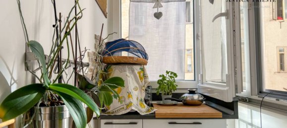 Квартира с 1 спальней в Триест, Италия № 344982 38