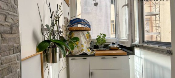 Квартира с 1 спальней в Триест, Италия № 344982 32