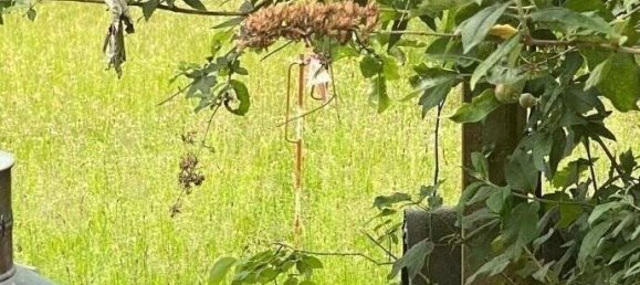 4 rooms House in Bremen, Germany No. 98203 19