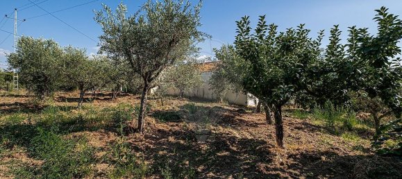 3 Schlafzimmer Haus in Sao Joao da Pesqueira, Portugal, Nr. 171427 16