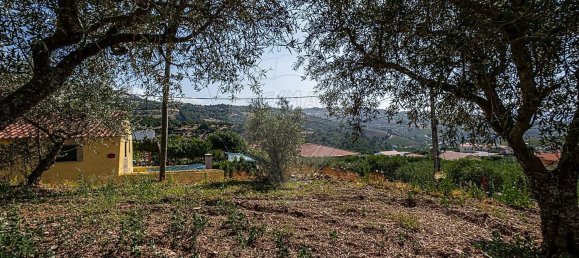 3 Schlafzimmer Haus in Sao Joao da Pesqueira, Portugal, Nr. 171427 15