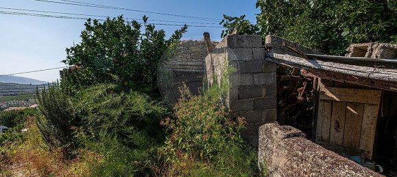 3 Schlafzimmer Haus in Sao Joao da Pesqueira, Portugal, Nr. 171427 18