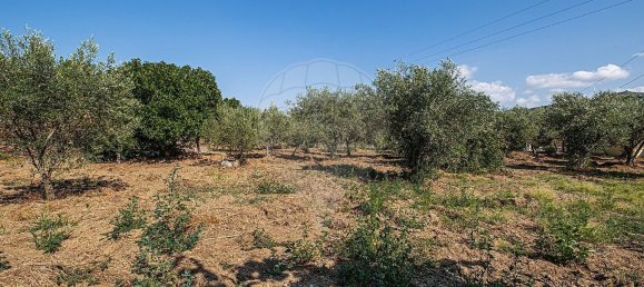 3 Schlafzimmer Haus in Sao Joao da Pesqueira, Portugal, Nr. 171427 22