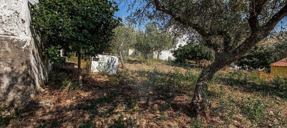 3 Schlafzimmer Haus in Sao Joao da Pesqueira, Portugal, Nr. 171427 14