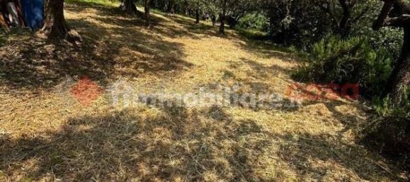 Земельный участок 1600м² в Верона, Италия № 271086 8