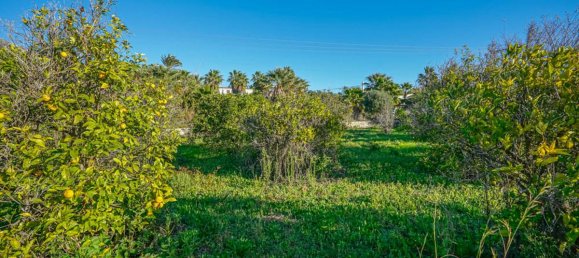  Land in Javea, Spain No. 11086 4