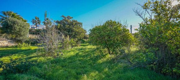  Land in Javea, Spain No. 11086 5