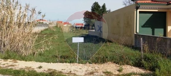 1920m² Land in Sao Lourenco do Bairro, Portugal No. 67504 3