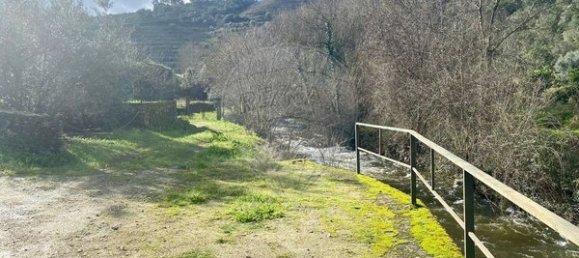 4 bedrooms House in Armamar, Portugal No. 52118 47