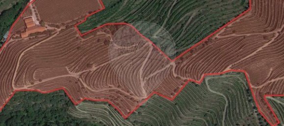 4 bedrooms House in Armamar, Portugal No. 52118 20