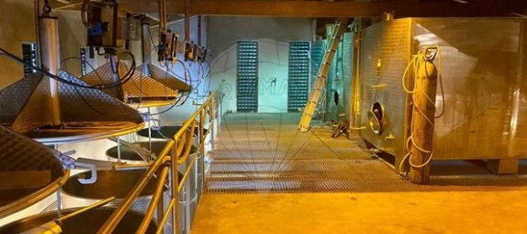 4 bedrooms House in Armamar, Portugal No. 52118 24