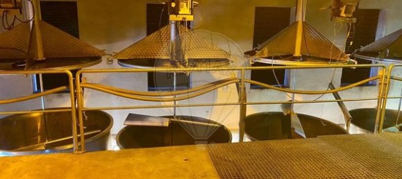 4 bedrooms House in Armamar, Portugal No. 52118 23