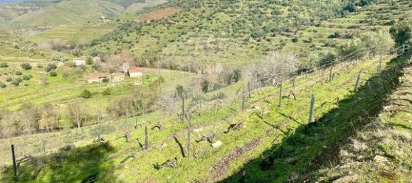 4 bedrooms House in Armamar, Portugal No. 52118 18