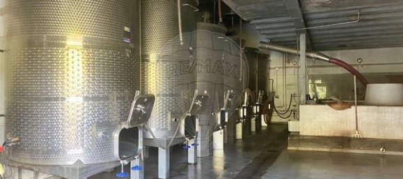 4 bedrooms House in Armamar, Portugal No. 52118 46