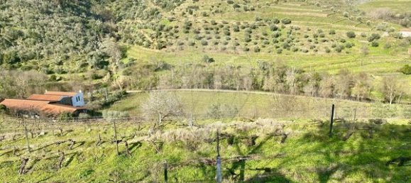 4 bedrooms House in Armamar, Portugal No. 52118 5