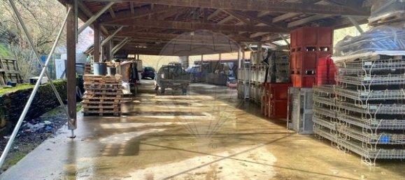 4 bedrooms House in Armamar, Portugal No. 52118 30