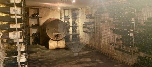 4 bedrooms House in Armamar, Portugal No. 52118 37