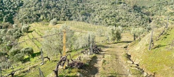 4 bedrooms House in Armamar, Portugal No. 52118 19