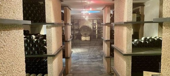 4 bedrooms House in Armamar, Portugal No. 52118 38