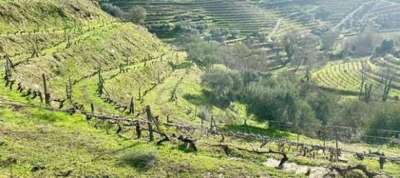 4 bedrooms House in Armamar, Portugal No. 52118 42