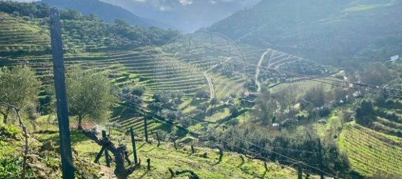 4 bedrooms House in Armamar, Portugal No. 52118 14