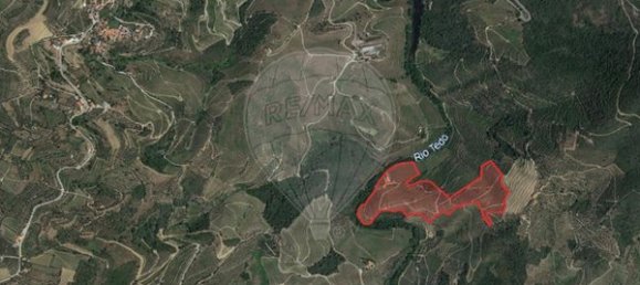 4 bedrooms House in Armamar, Portugal No. 52118 33