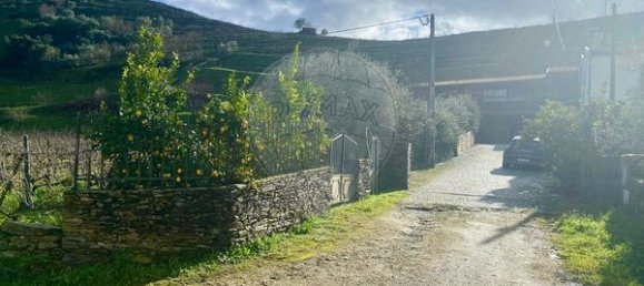 4 bedrooms House in Armamar, Portugal No. 52118 22