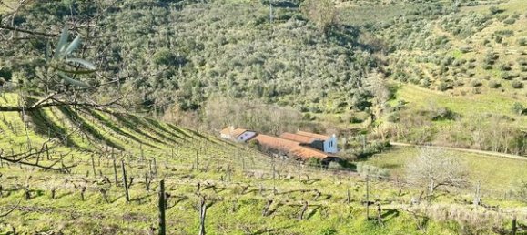 4 bedrooms House in Armamar, Portugal No. 52118 16