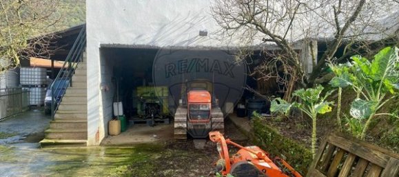 4 bedrooms House in Armamar, Portugal No. 52118 6