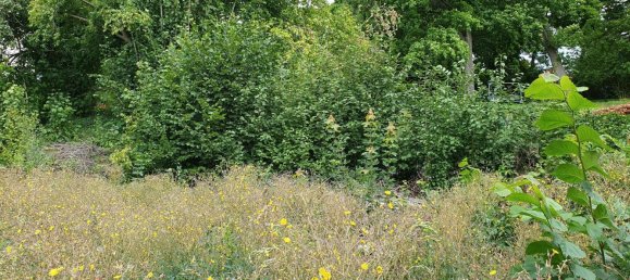 Terreno en Vogtlandkreis, Germany No. 244651 6