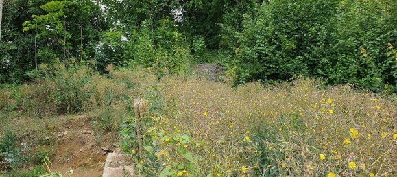 Terreno en Vogtlandkreis, Germany No. 244651 3