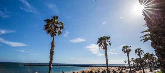 Apartamento T1 em Arona, Spain N.º 42165 13