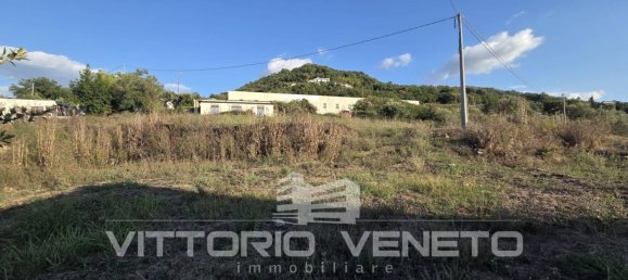 1953m² Land in Laureana Cilento, Italy No. 306536 8