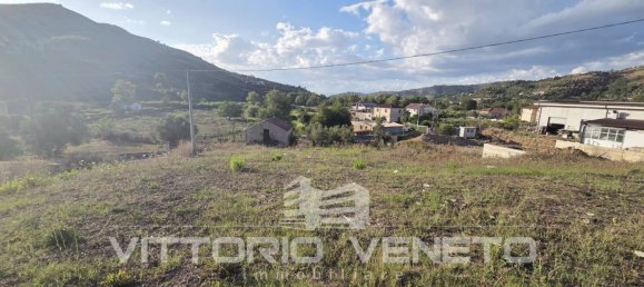1953m² Land in Laureana Cilento, Italy No. 306536 14