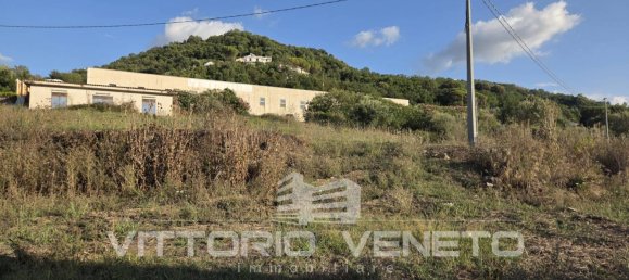 1953m² Land in Laureana Cilento, Italy No. 306536 7