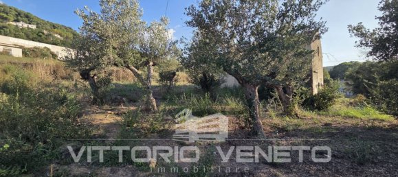 1953m² Land in Laureana Cilento, Italy No. 306536 6