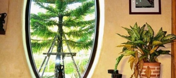 2 bedrooms Cafe / restaurant in Hang Dong, Thailand No. 17315 9