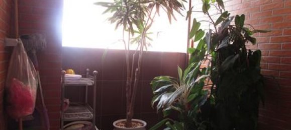 4 Schlafzimmer Wohnung in Cau Giay, Vietnam, Nr. 3723 17