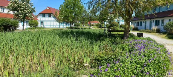 Hotel de 9 habitaciónes en Vorpommern-Rugen, Germany No. 130094 5