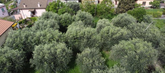 Land in Mentana, Italy No. 167132 2