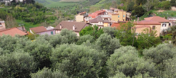 Land in Mentana, Italy No. 167132 4