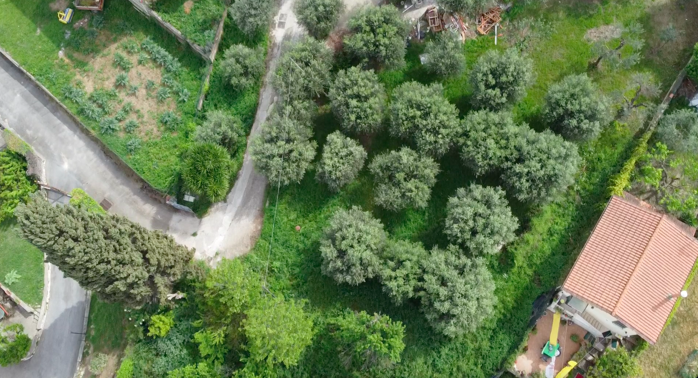  Land in Mentana, Italy No. 167132