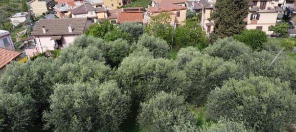 Land in Mentana, Italy No. 167132 7