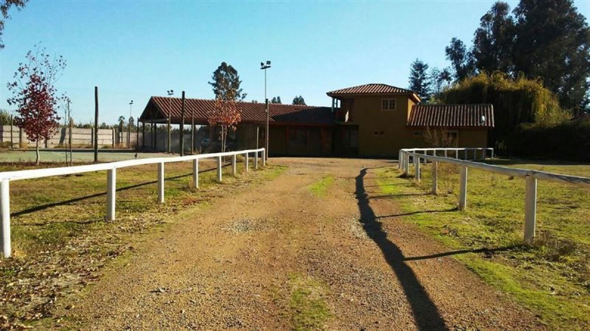 5 bedrooms House in Maule, Chile No. 3221