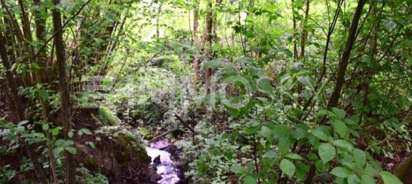 9غرفة فيلا في Linz, Austria رقم 148413 3