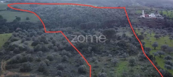 61680m² Land in Pernes, Portugal No. 143182 11