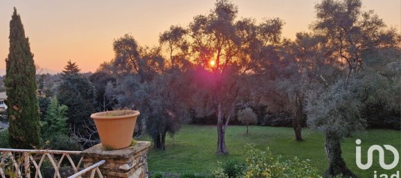 1 bedroom Duplex in Roquefort-les-Pins, France No. 319956 9